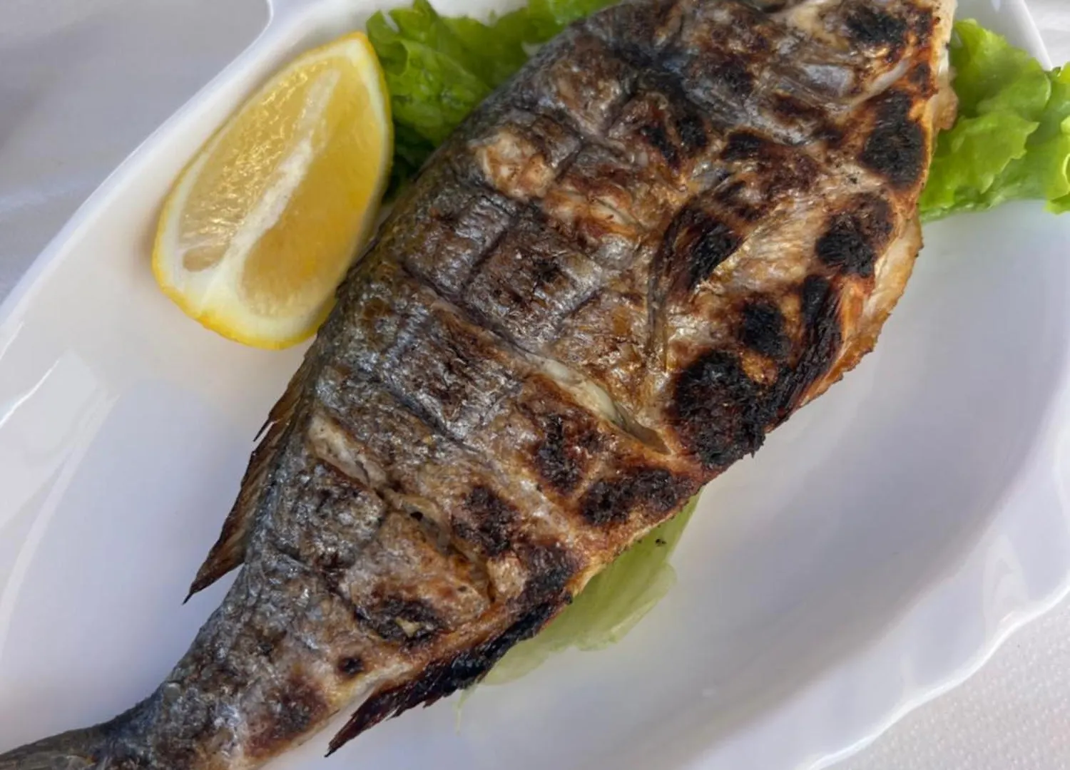 Accommodatie bij particulieren Bruno Rooms Vlorë Albanië