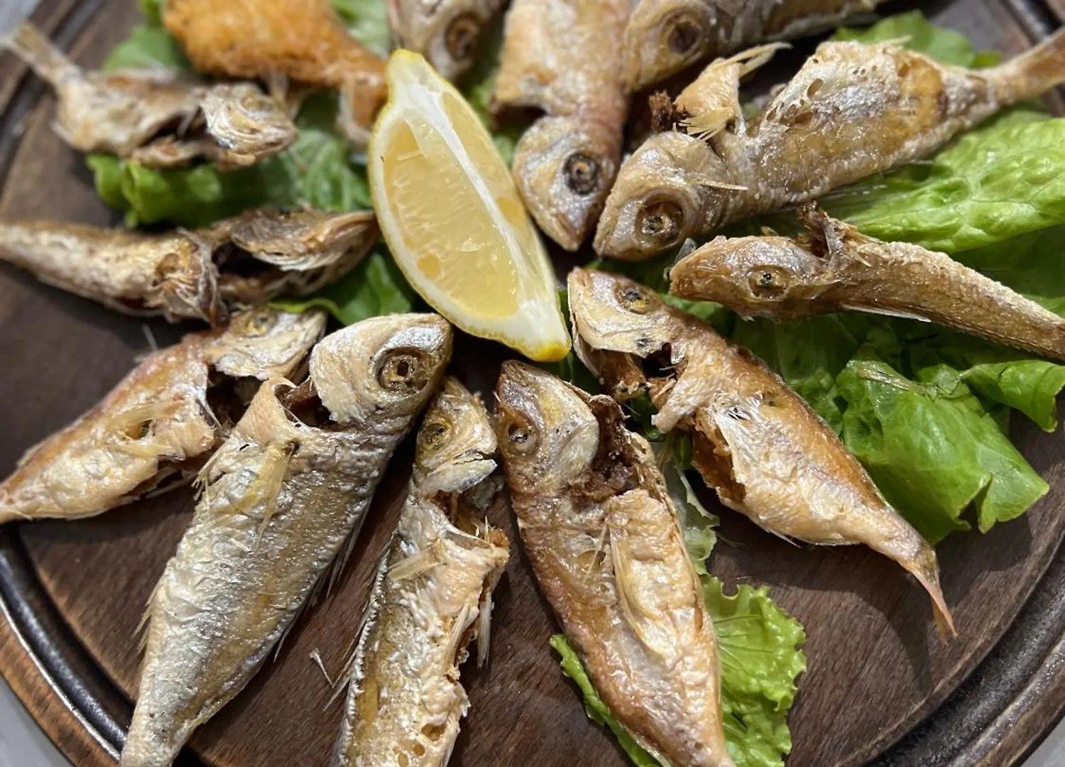 Bruno Rooms Vlorë Ubytování v soukromí